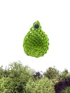 Magnetic Jumping Spider Teardrop Wall Hammock